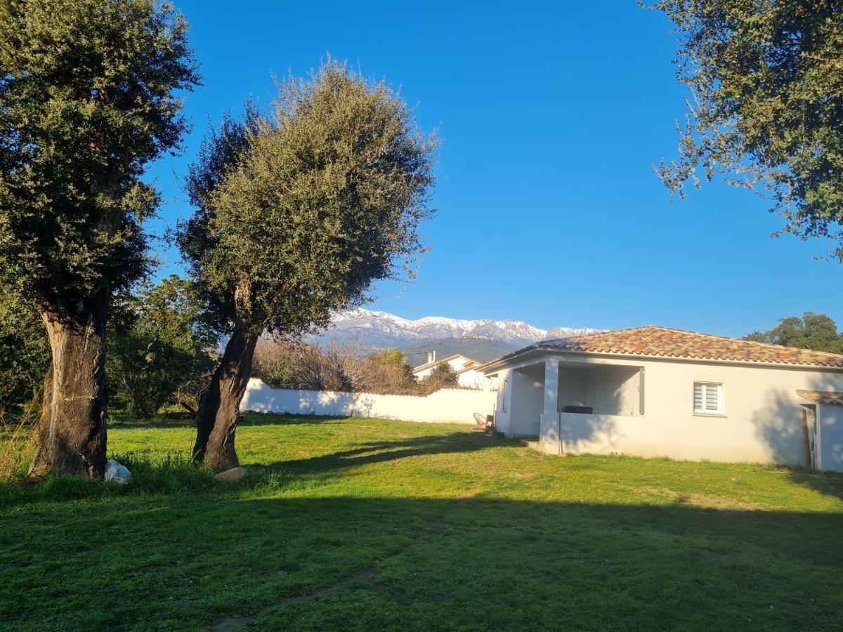 Location "Casa Monna" Apartment Prunelli-di-Fiumorbo Exterior photo